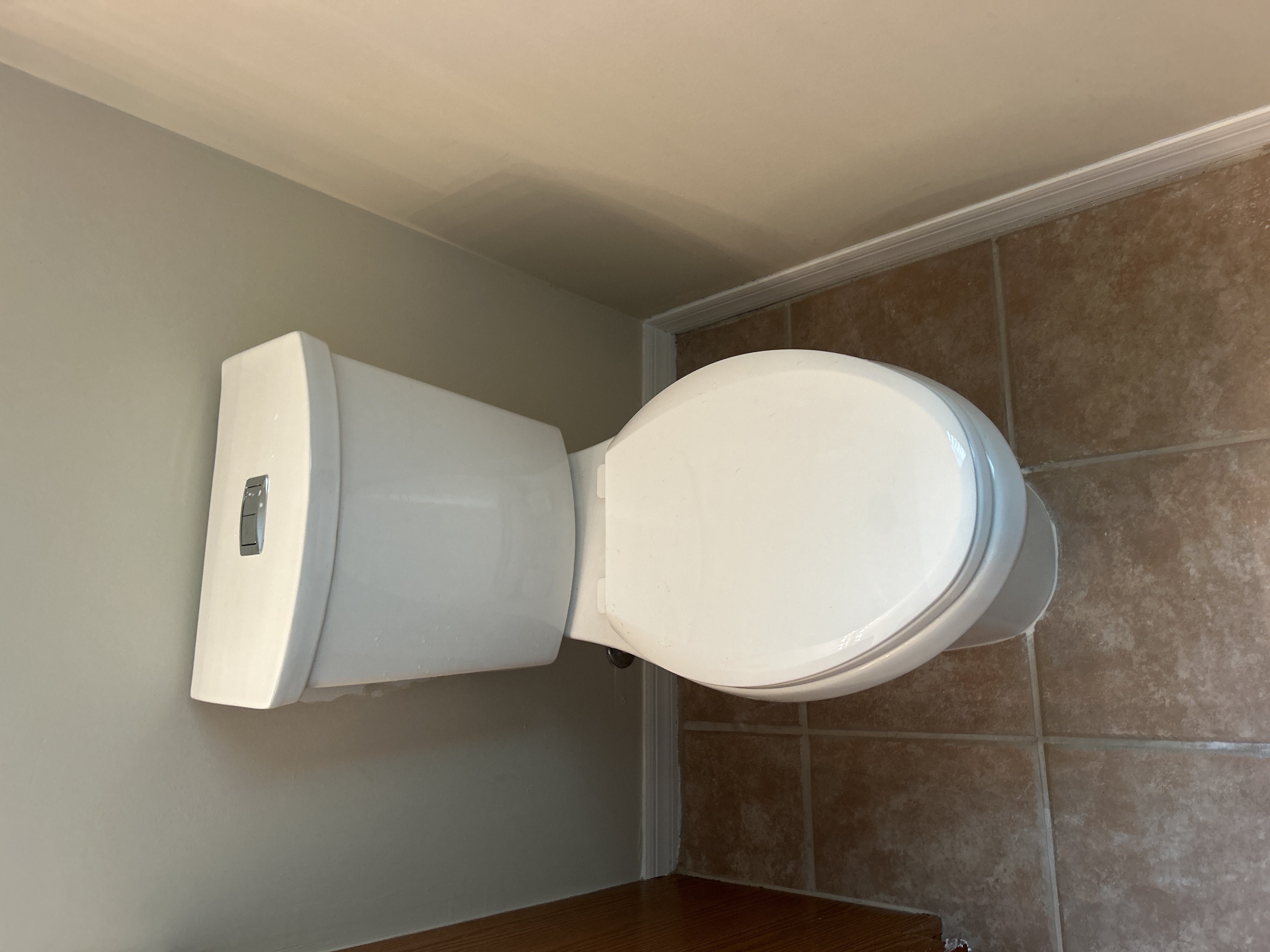 Dual Flush